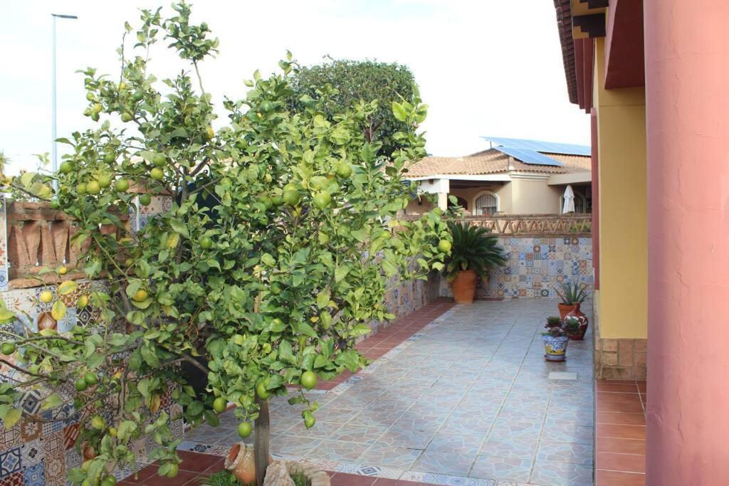 Casa 4 Dormitorios En Ayamonte Εξωτερικό φωτογραφία